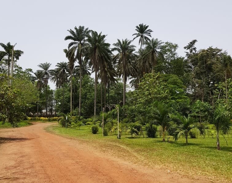 Jardin Botanique de Bingerville
